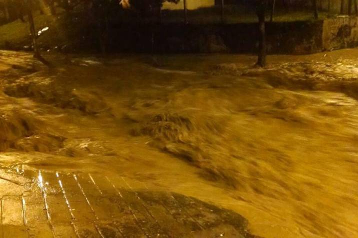 Imagen tomada de vanguardia