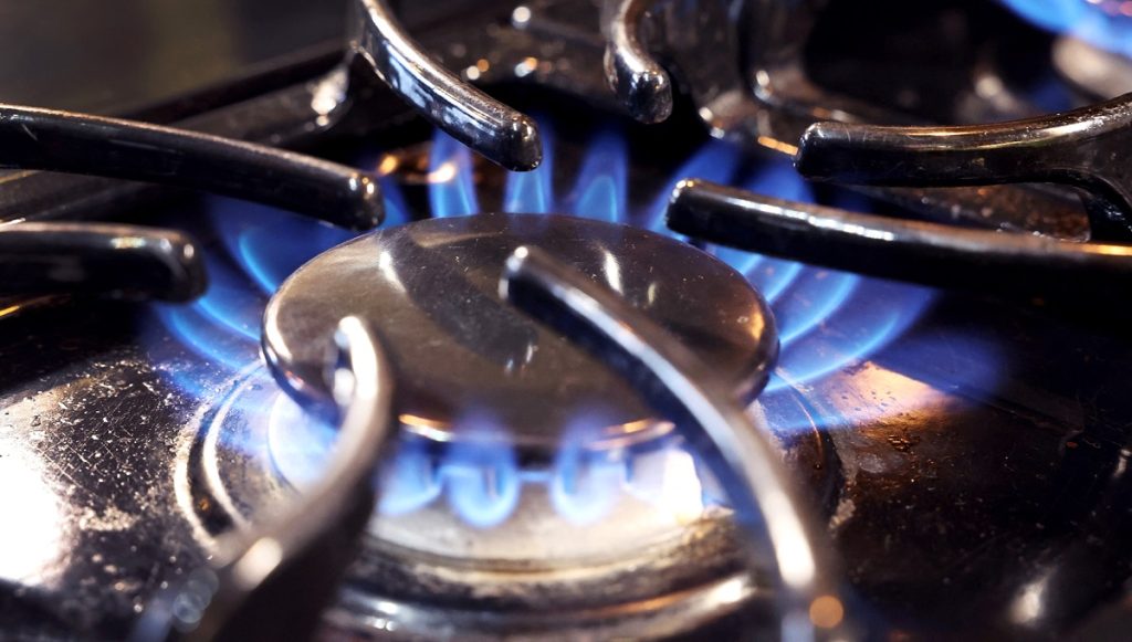 Imagen tomada de pulzo