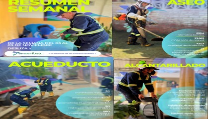 Resumen de actividades de Emserfusa