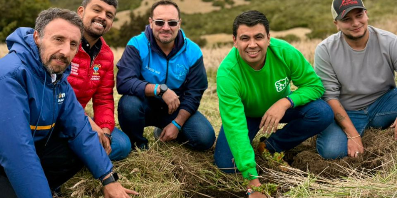 Aeboles en zonas estrategicas