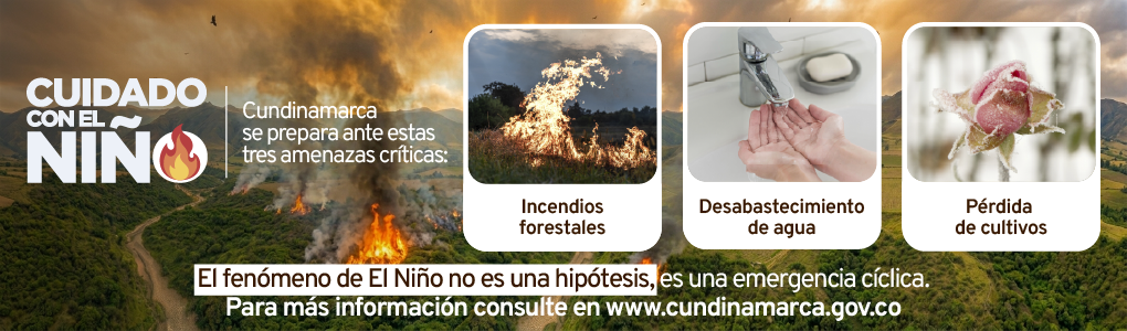 Gobernación de Cundinamarca " Cuidado con los Niños"