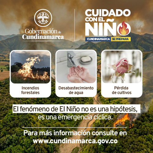 Gobernacion de cundinamarca "Cuidado con los Niños"