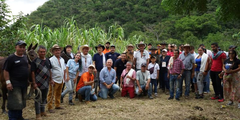 gOBERNACIÓN DE cUNDINAMARCA, JORNADA VETERINARIA
