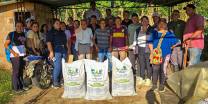 cultivos de café y plátano
